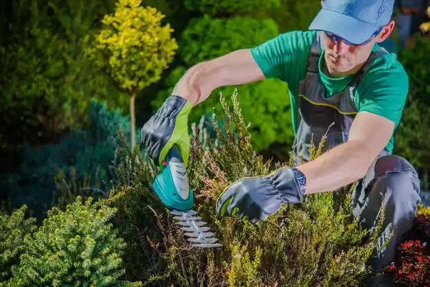 landscaping services Calhoun